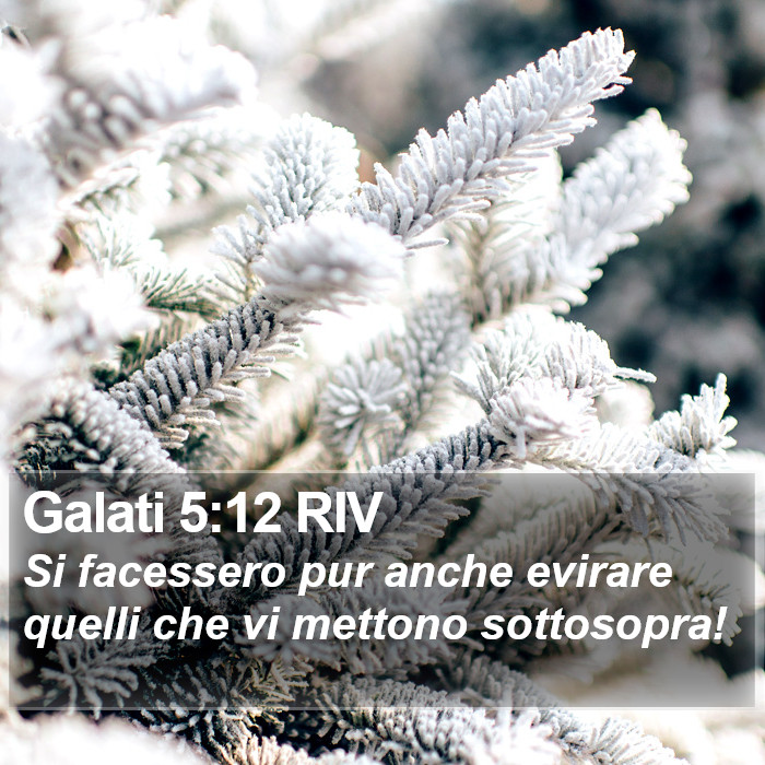 Galati 5:12 RIV Bible Study