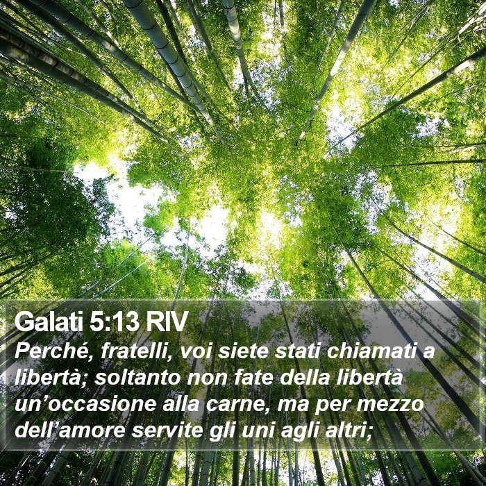 Galati 5:13 RIV Bible Study