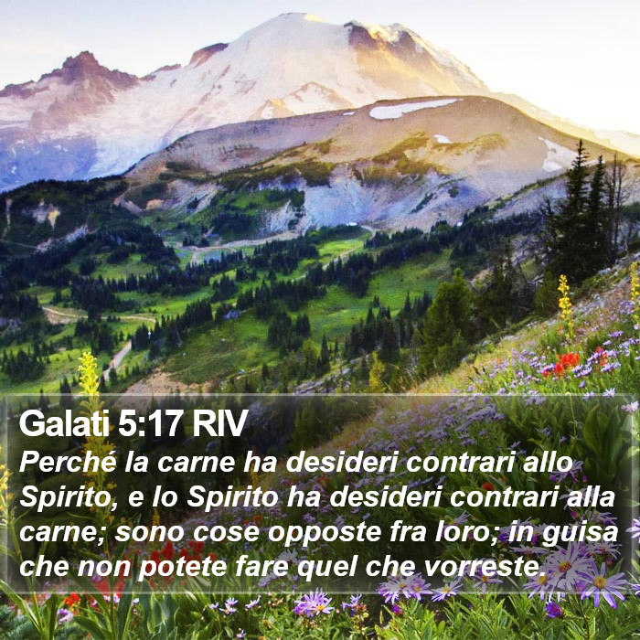 Galati 5:17 RIV Bible Study