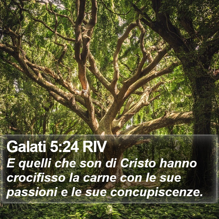 Galati 5:24 RIV Bible Study