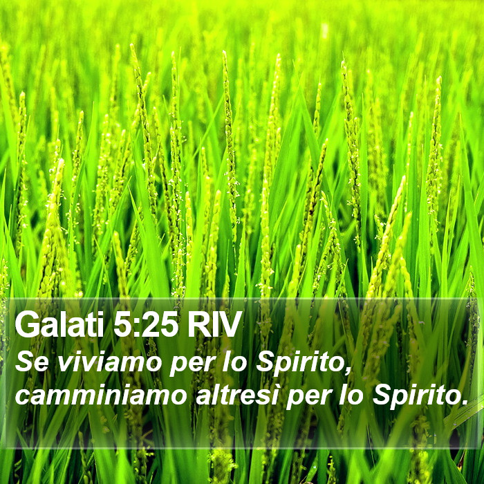 Galati 5:25 RIV Bible Study