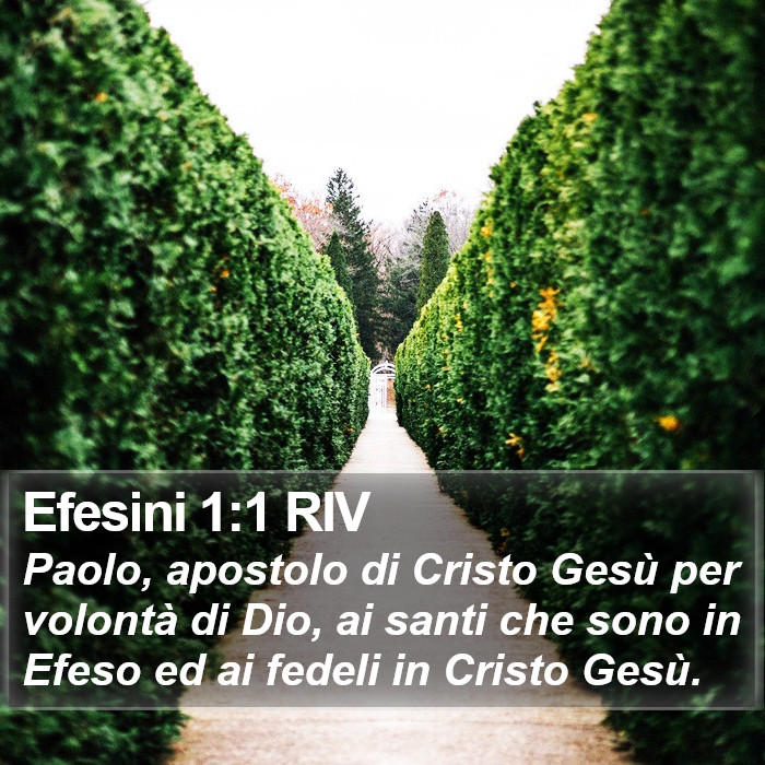 Efesini 1:1 RIV Bible Study