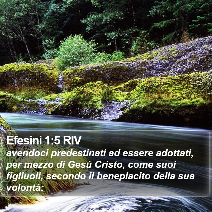 Efesini 1:5 RIV Bible Study