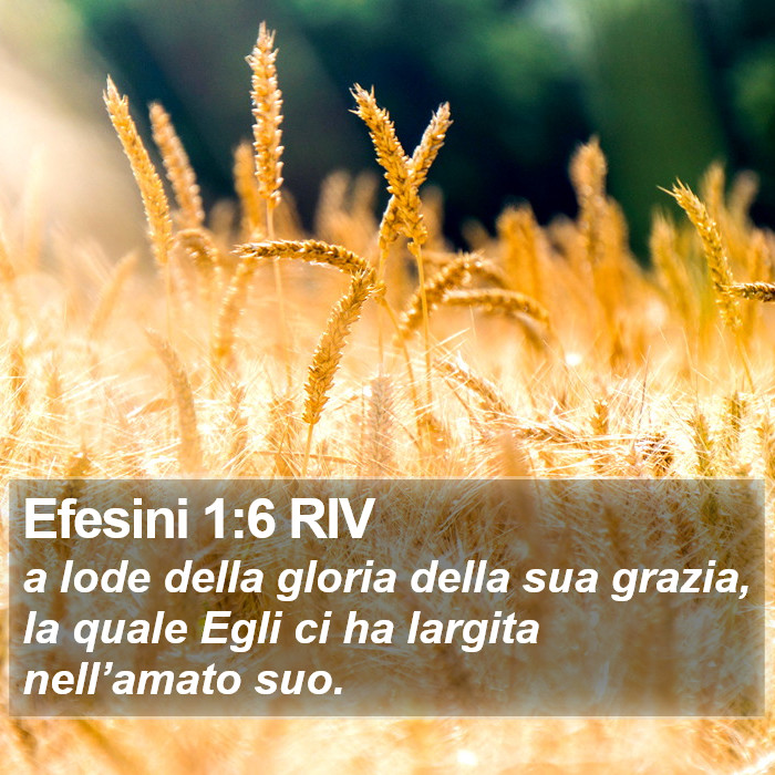 Efesini 1:6 RIV Bible Study