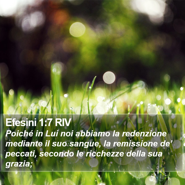 Efesini 1:7 RIV Bible Study