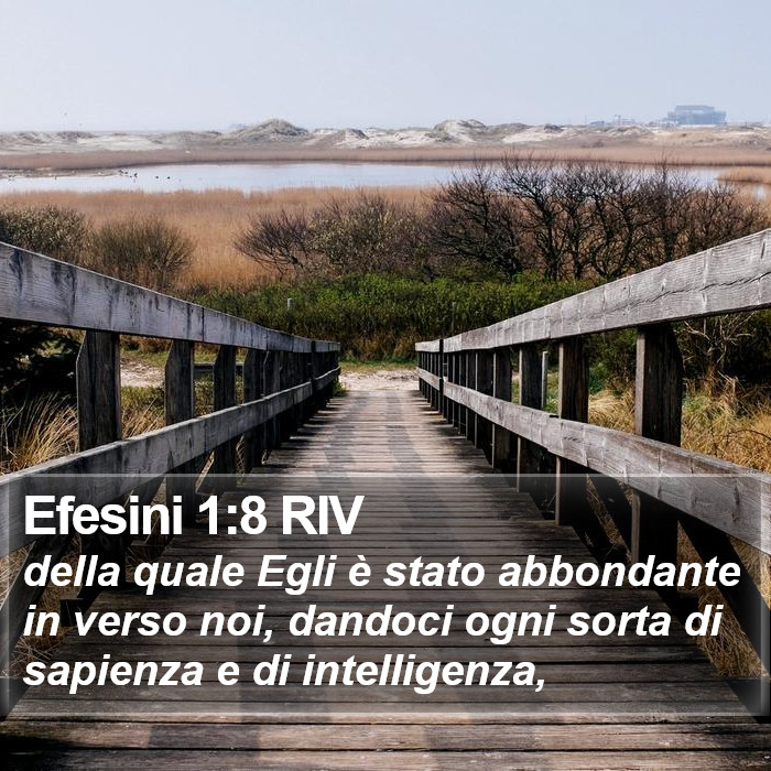 Efesini 1:8 RIV Bible Study