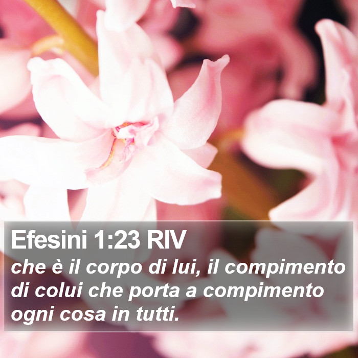 Efesini 1:23 RIV Bible Study