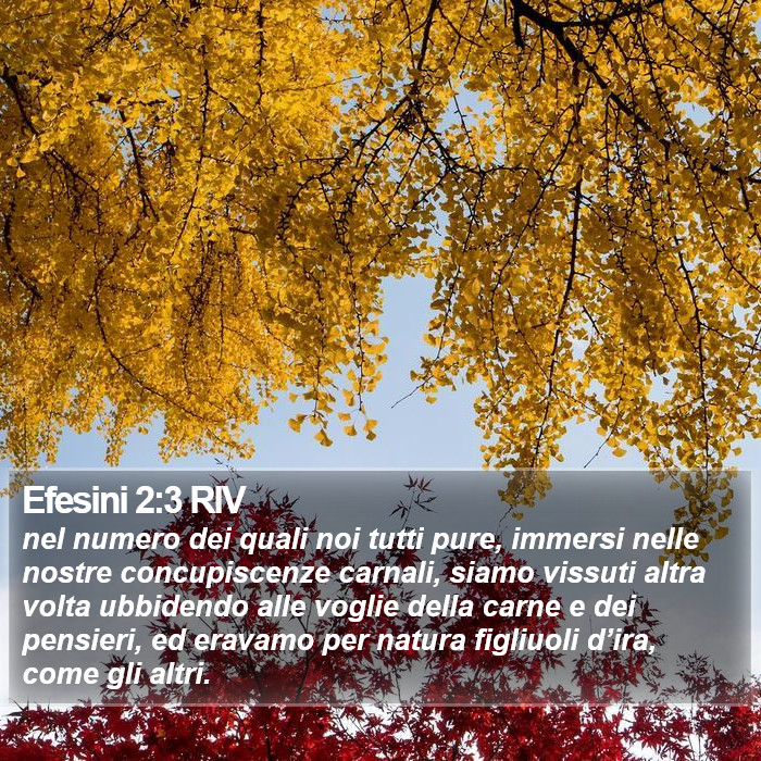 Efesini 2:3 RIV Bible Study