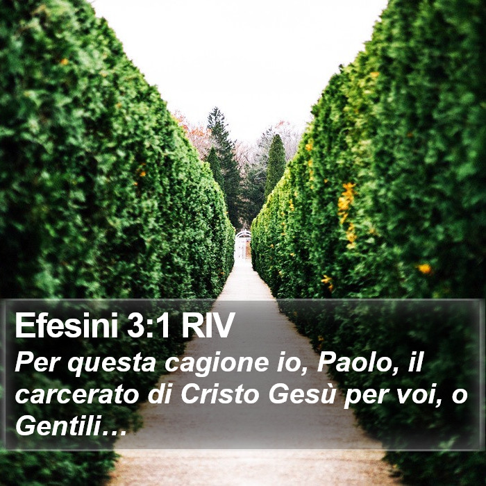 Efesini 3:1 RIV Bible Study