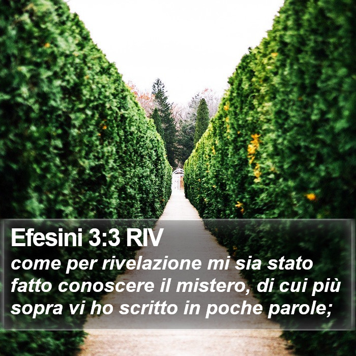 Efesini 3:3 RIV Bible Study