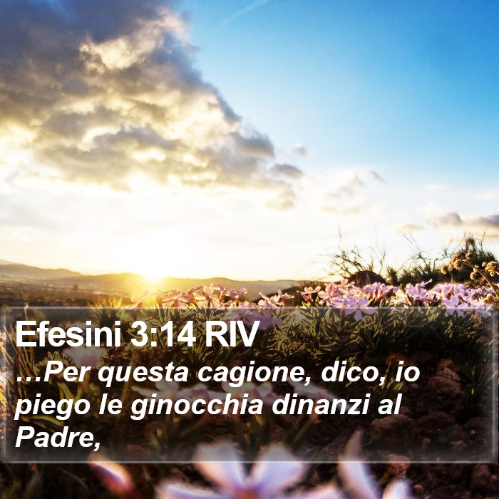 Efesini 3:14 RIV Bible Study