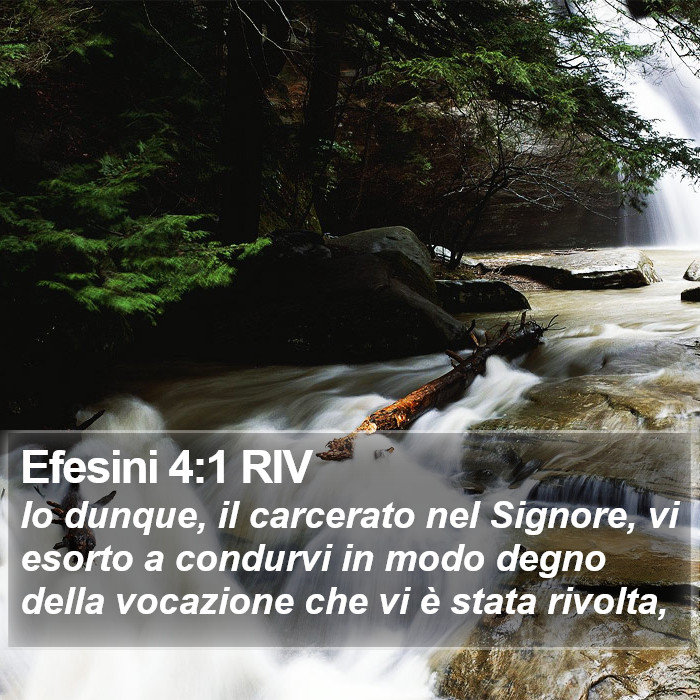 Efesini 4:1 RIV Bible Study