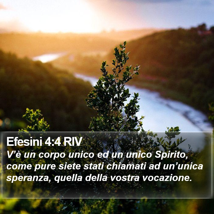 Efesini 4:4 RIV Bible Study