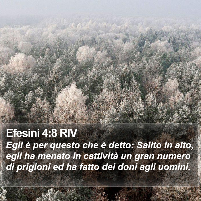 Efesini 4:8 RIV Bible Study