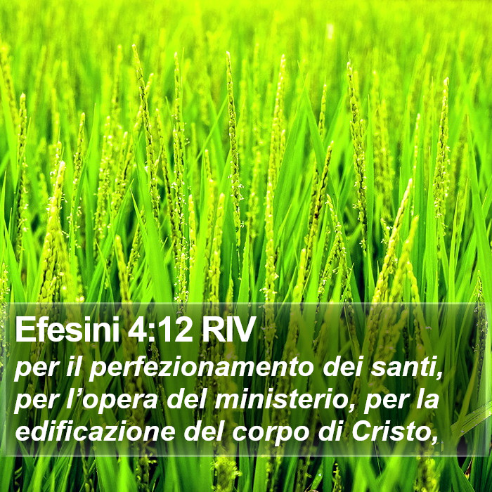 Efesini 4:12 RIV Bible Study