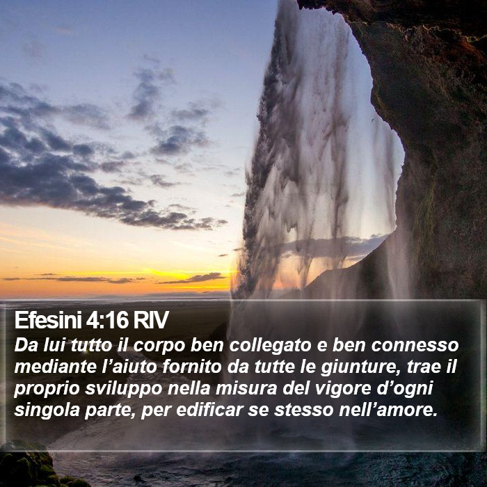 Efesini 4:16 RIV Bible Study