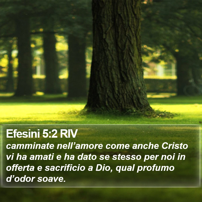 Efesini 5:2 RIV Bible Study