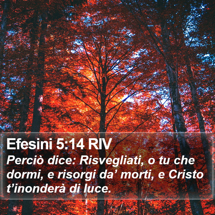 Efesini 5:14 RIV Bible Study