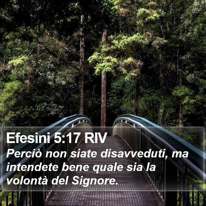 Efesini 5:17 RIV Bible Study