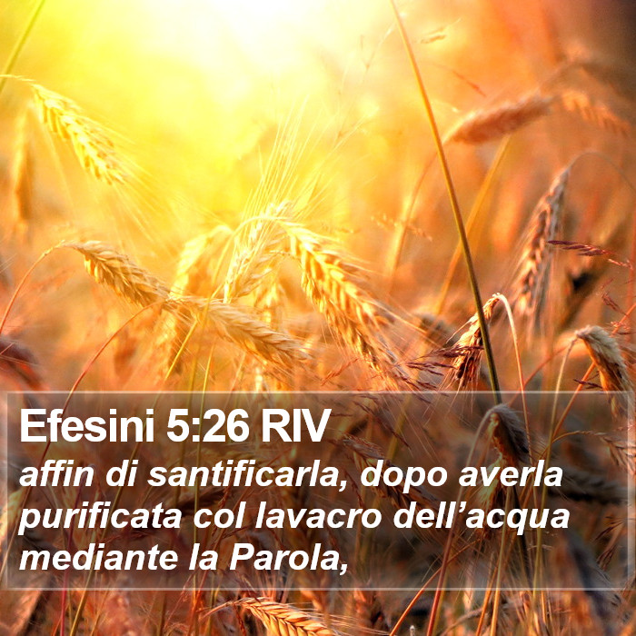 Efesini 5:26 RIV Bible Study