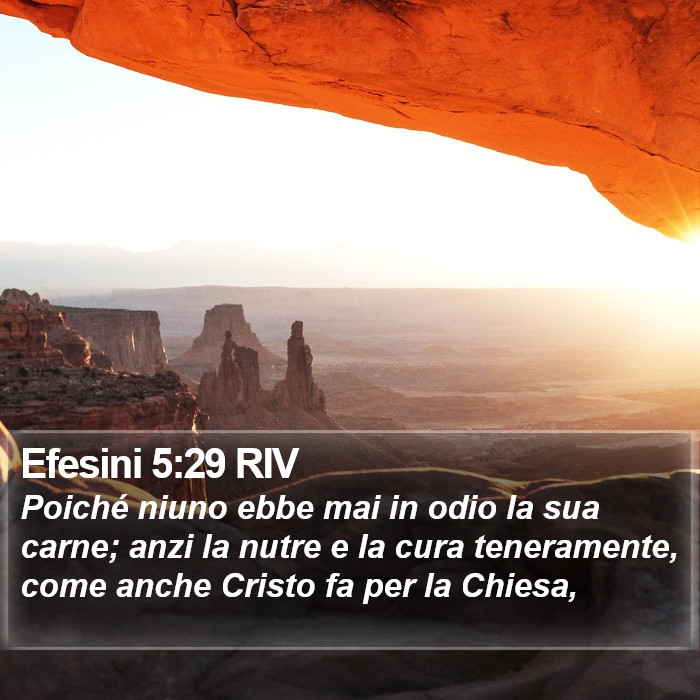 Efesini 5:29 RIV Bible Study