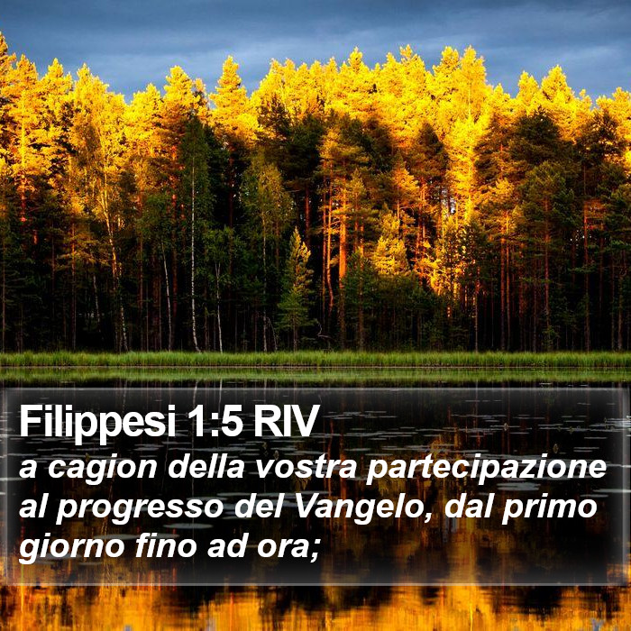 Filippesi 1:5 RIV Bible Study