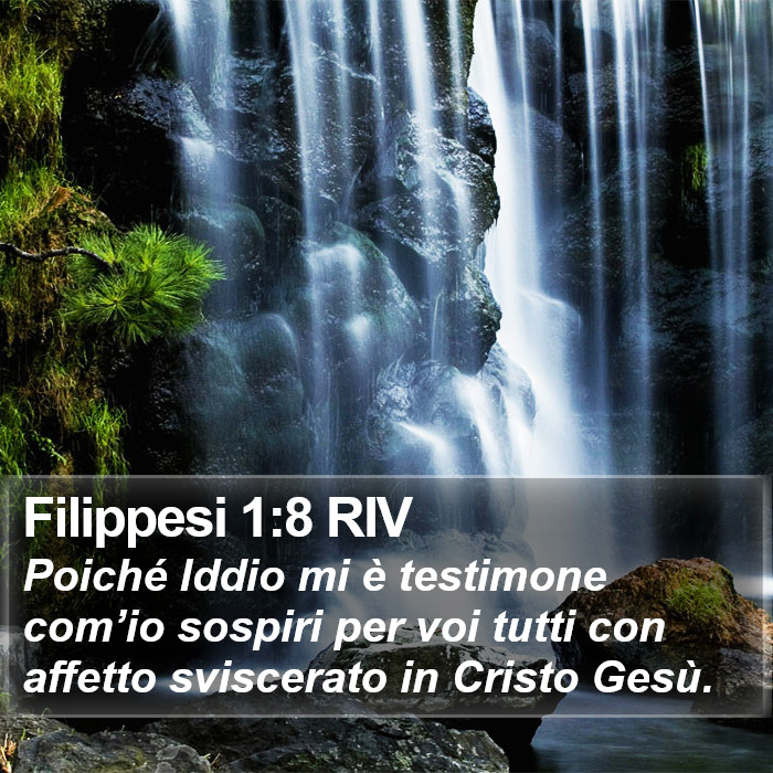 Filippesi 1:8 RIV Bible Study