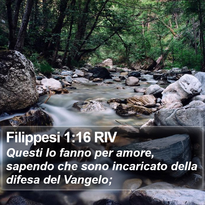 Filippesi 1:16 RIV Bible Study