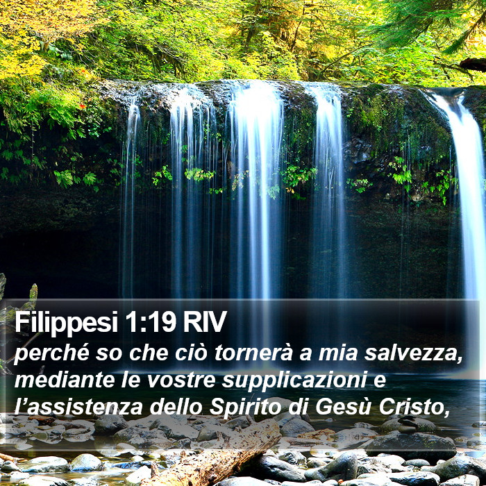 Filippesi 1:19 RIV Bible Study