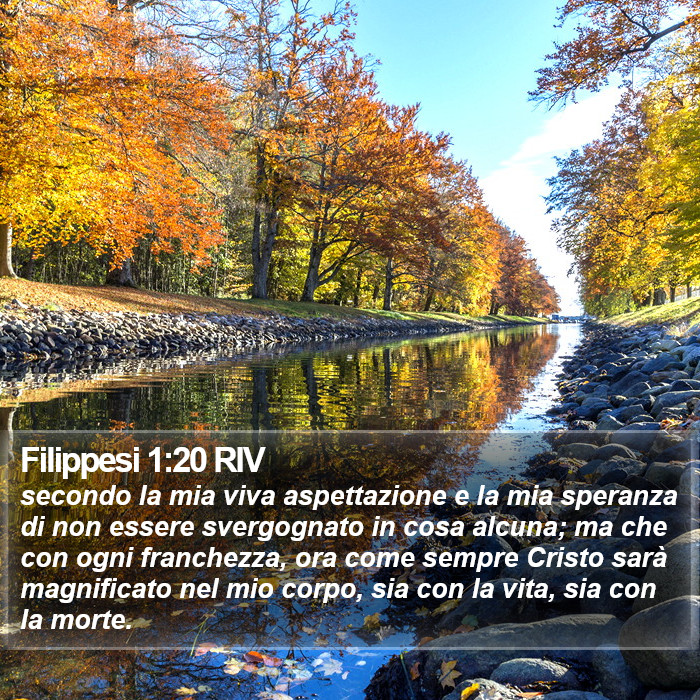 Filippesi 1:20 RIV Bible Study