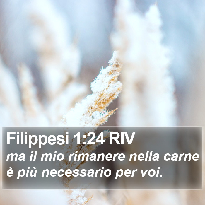 Filippesi 1:24 RIV Bible Study