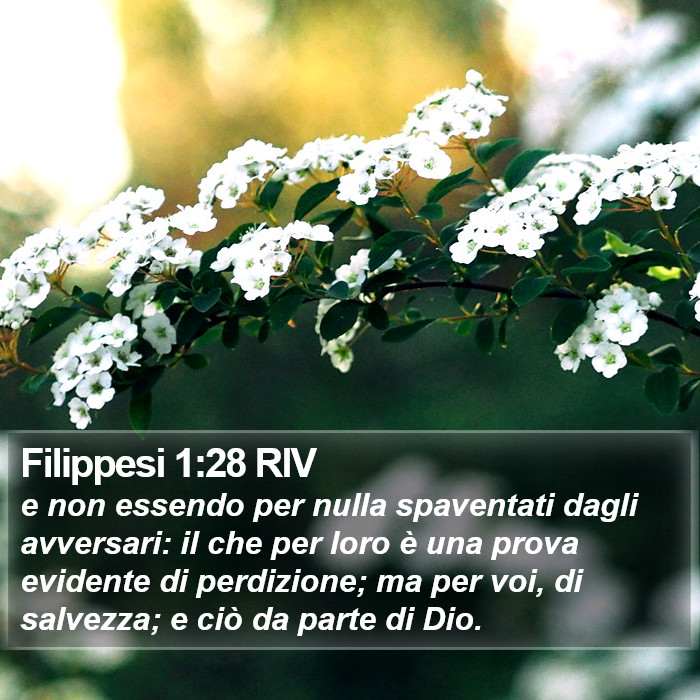 Filippesi 1:28 RIV Bible Study