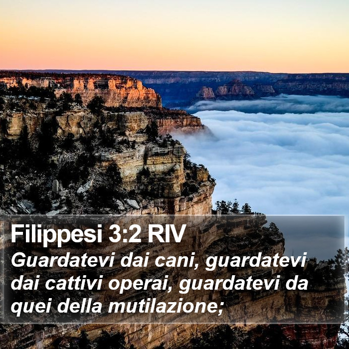 Filippesi 3:2 RIV Bible Study