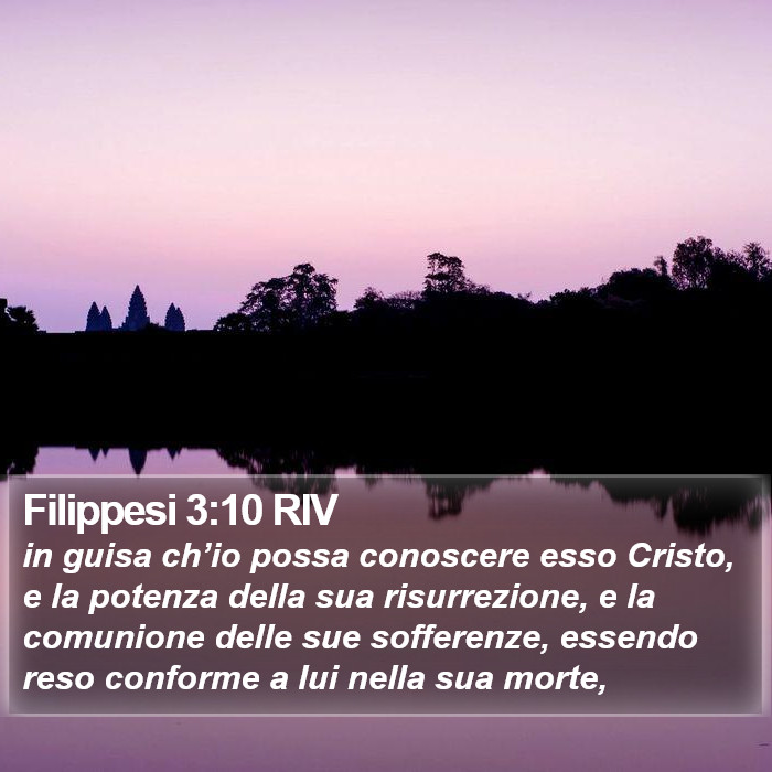 Filippesi 3:10 RIV Bible Study