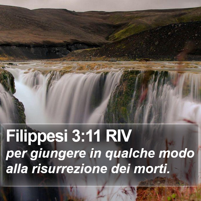 Filippesi 3:11 RIV Bible Study