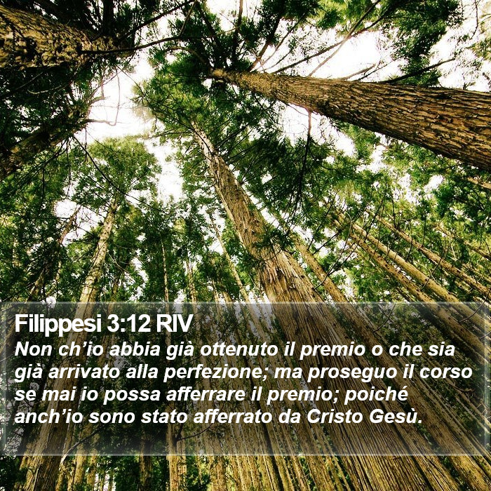 Filippesi 3:12 RIV Bible Study