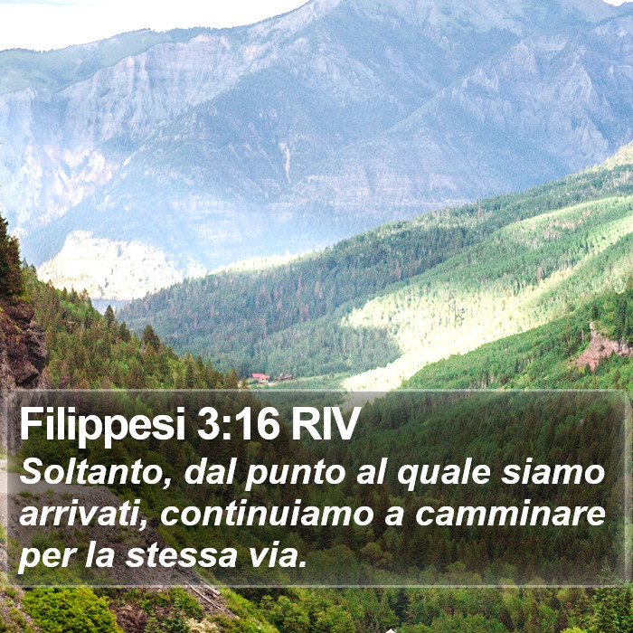 Filippesi 3:16 RIV Bible Study