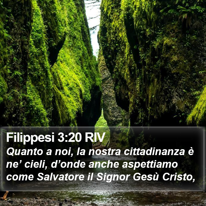 Filippesi 3:20 RIV Bible Study