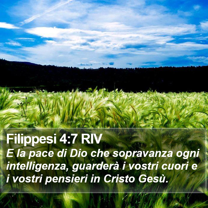 Filippesi 4:7 RIV Bible Study