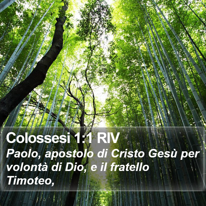 Colossesi 1:1 RIV Bible Study