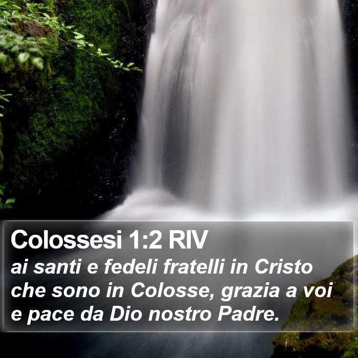 Colossesi 1:2 RIV Bible Study