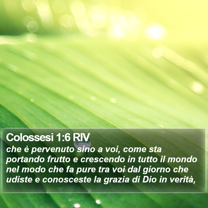 Colossesi 1:6 RIV Bible Study