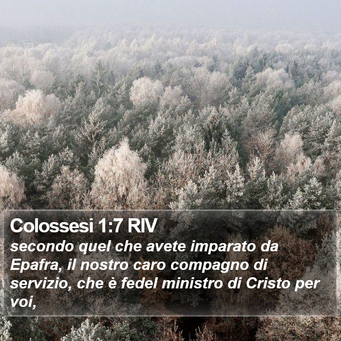 Colossesi 1:7 RIV Bible Study