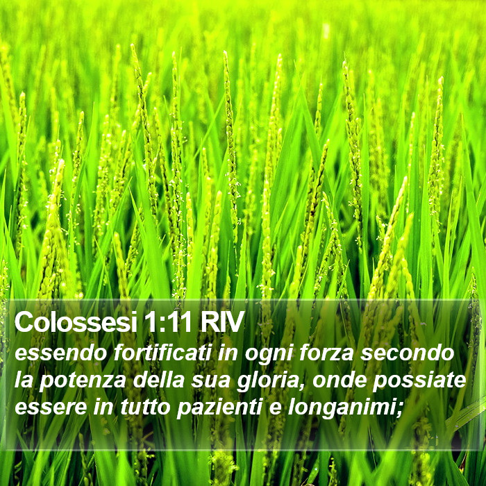 Colossesi 1:11 RIV Bible Study