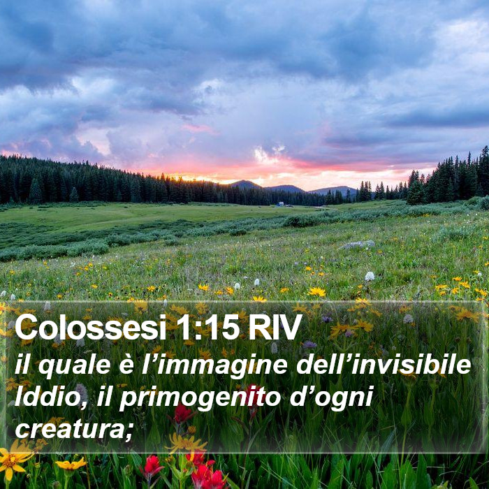 Colossesi 1:15 RIV Bible Study