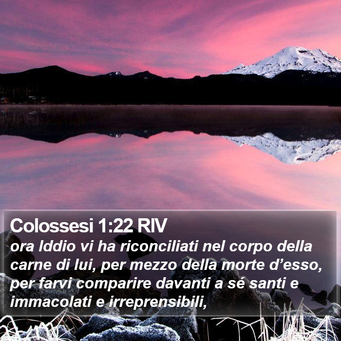 Colossesi 1:22 RIV Bible Study