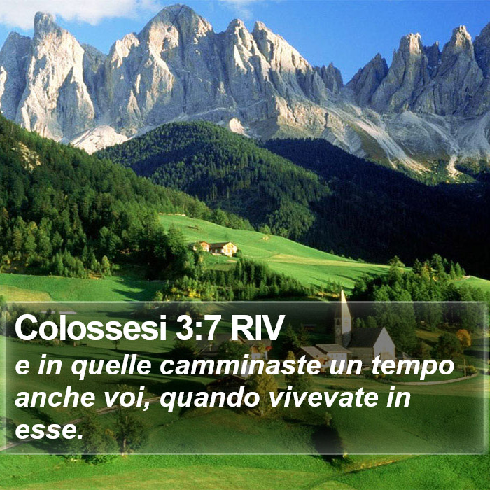 Colossesi 3:7 RIV Bible Study