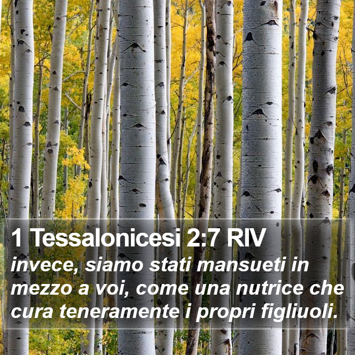 1 Tessalonicesi 2:7 RIV Bible Study