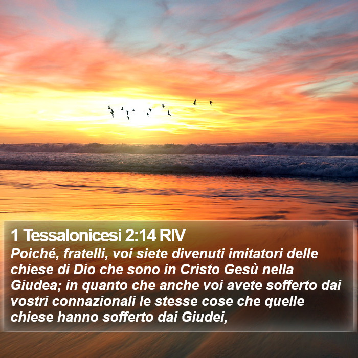1 Tessalonicesi 2:14 RIV Bible Study