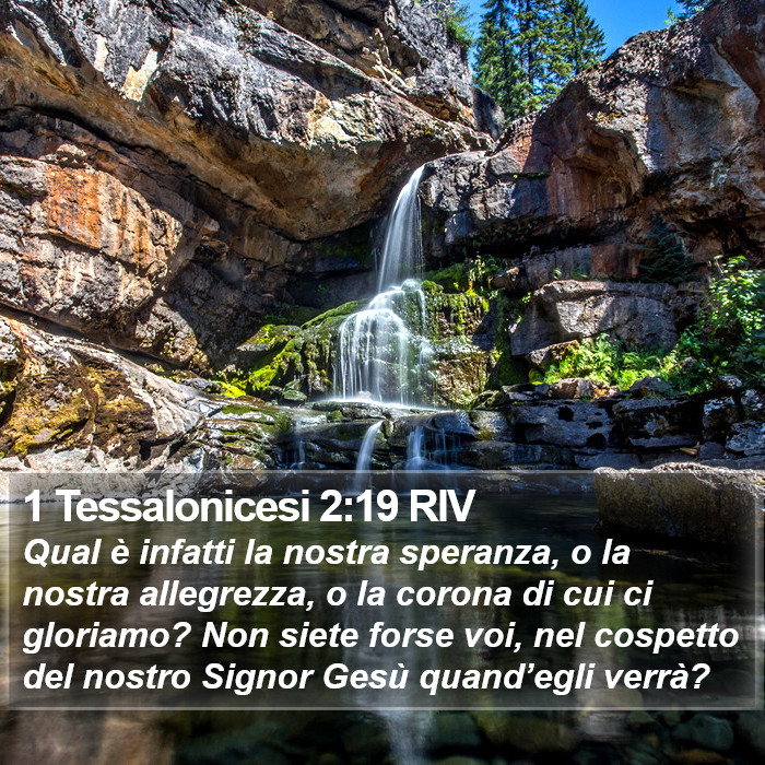 1 Tessalonicesi 2:19 RIV Bible Study